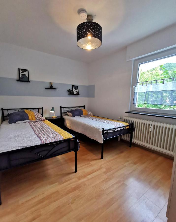 3 Zimmer-Apartment Mit Terrasse غرنباخ المظهر الخارجي الصورة